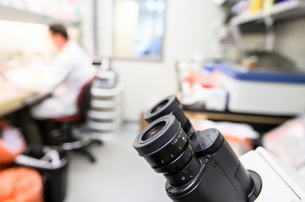 microscope in a lab