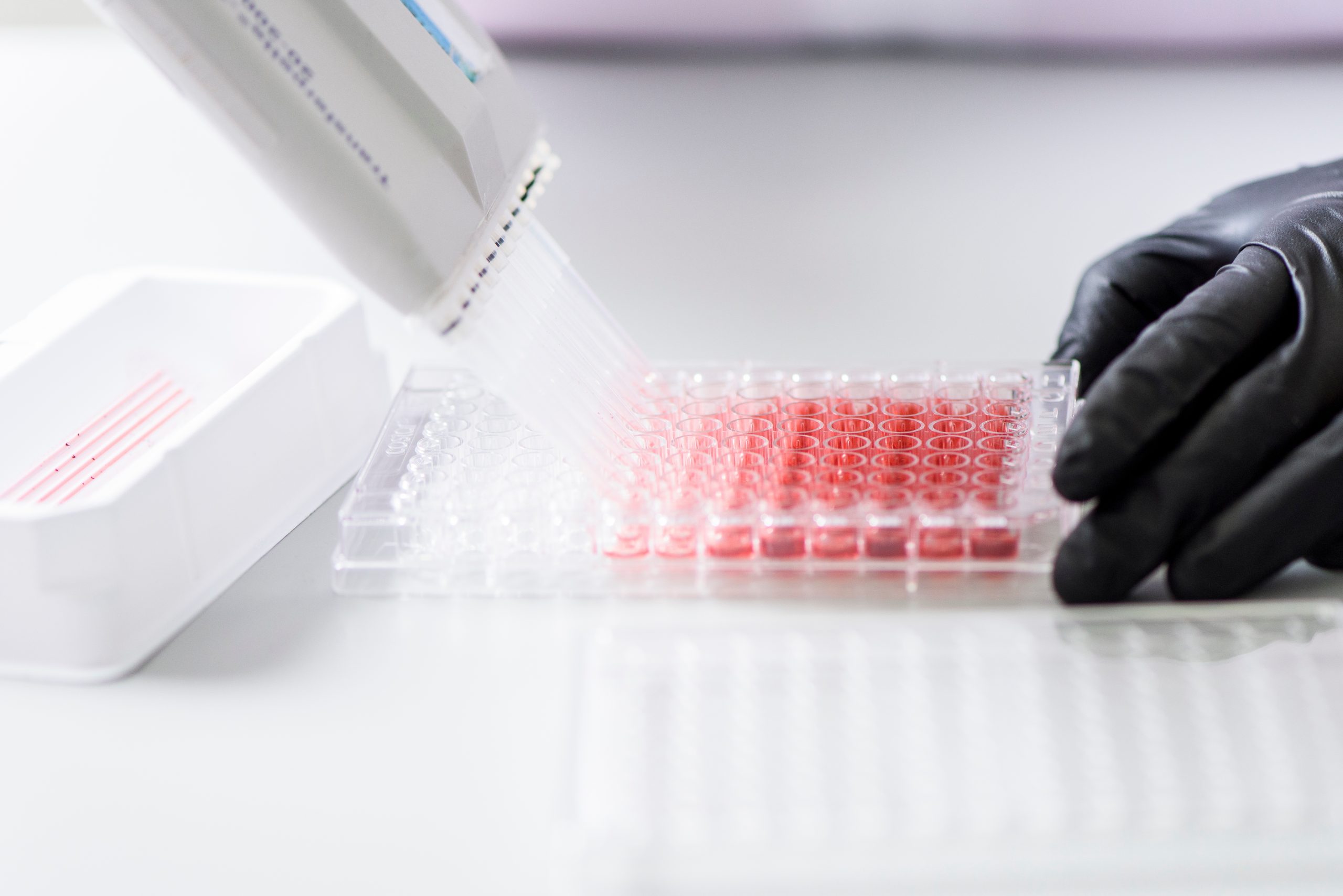 gloved hand on pipets