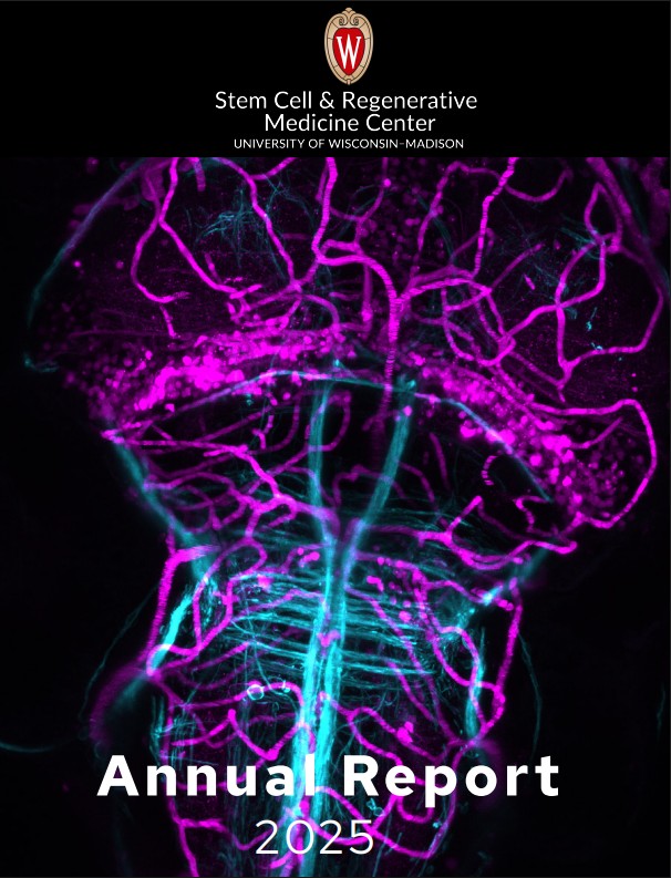 The cover of the 2025 annual report with purple and blue colored cell images