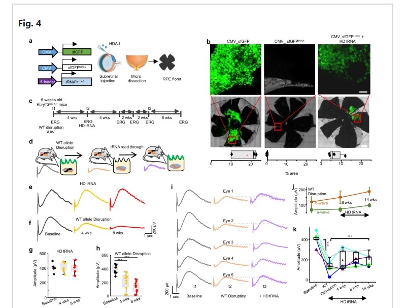 figures from the research paper including graphs, a green and black cellular image, and a progression picture